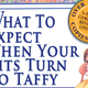 Illustration for article titled You Smell Like Pee Soup When Youre Pregnant, And Other Things They Dont Tell You